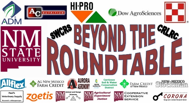 Image of Beyond the Roundtable