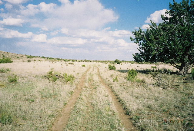 Looking down the pasture road