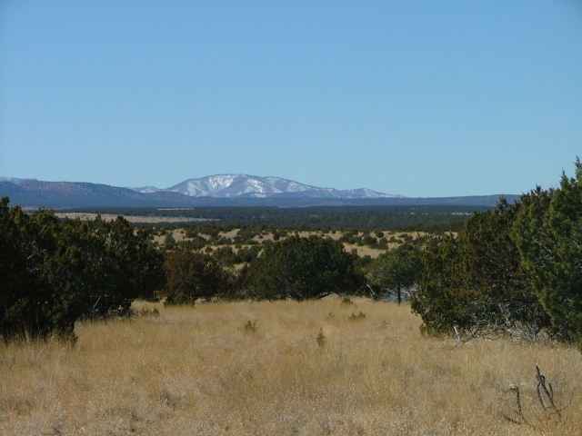 Looking west towards the Gallinas Mountains